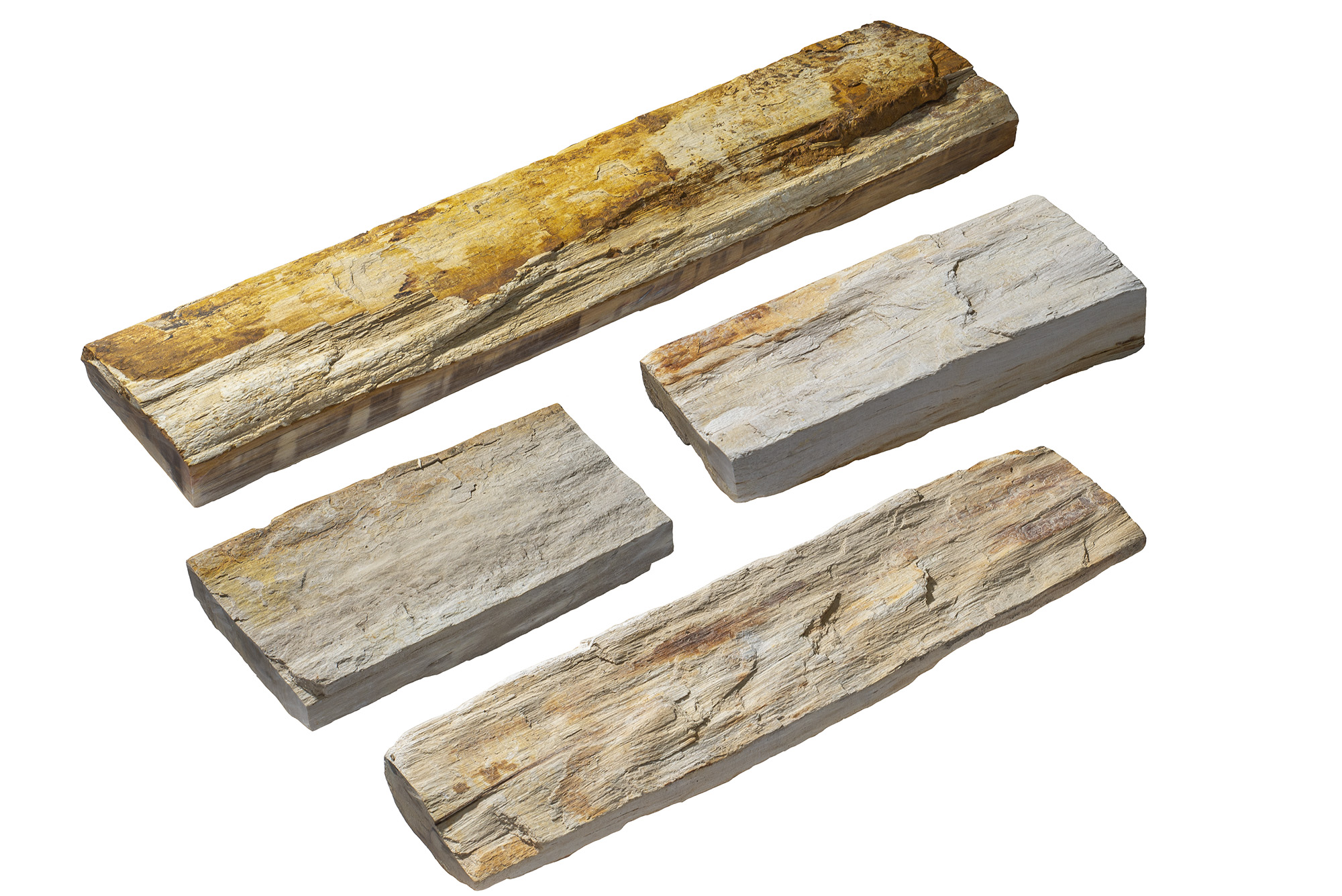 木化石　プレート | 造園資材館