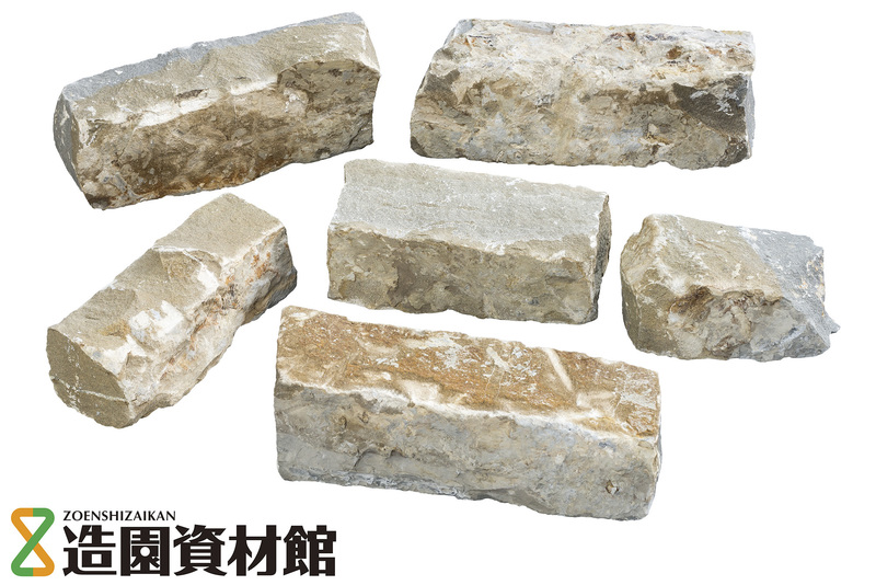 コルテミーリア ウォーリング | 造園資材館