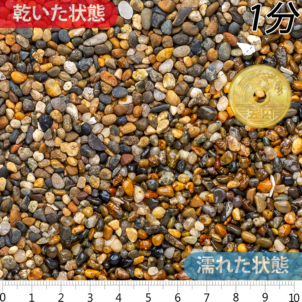 茨城県産金華 | 造園資材館