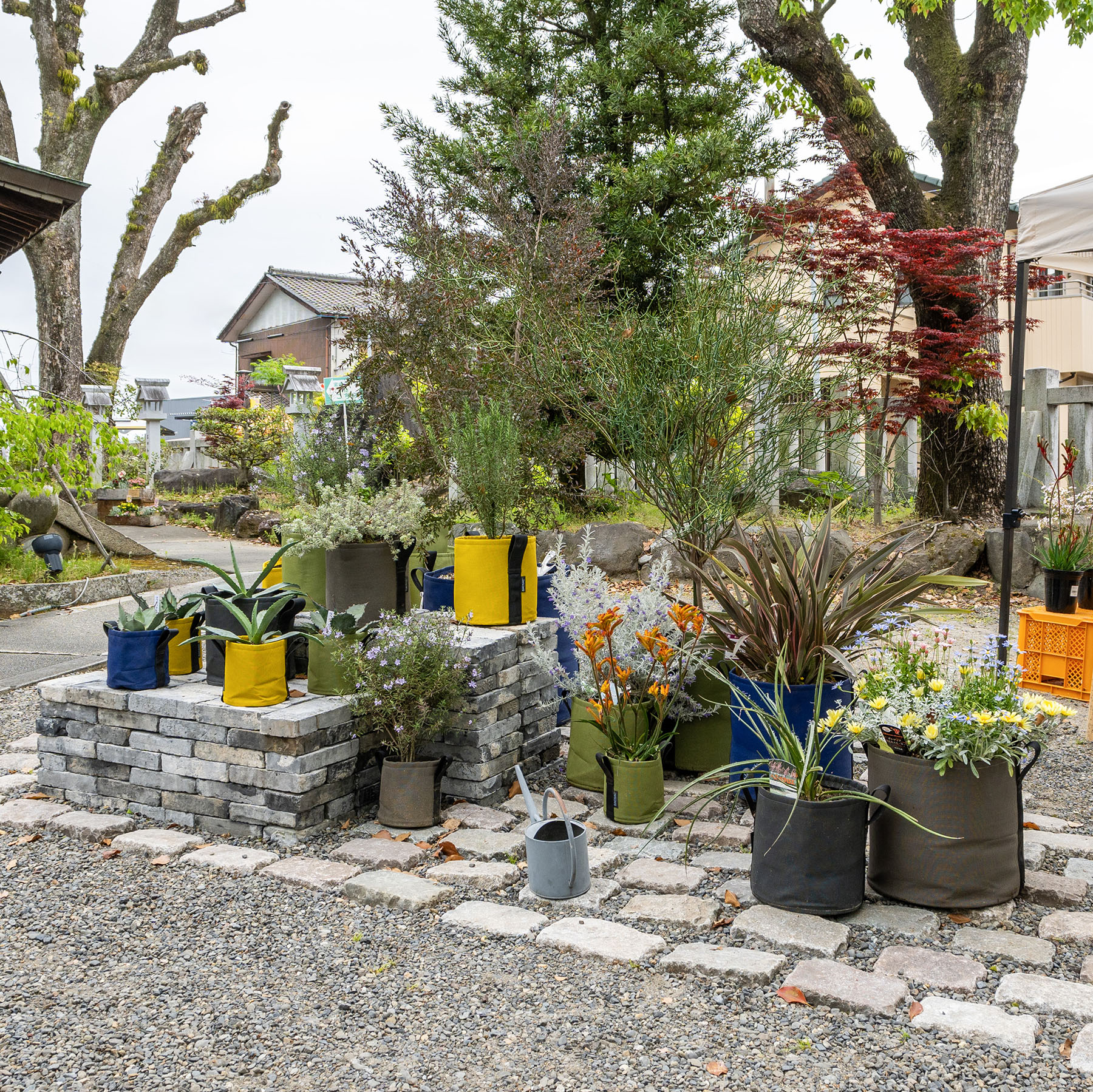 バックサック ポット PAVE | 造園資材館