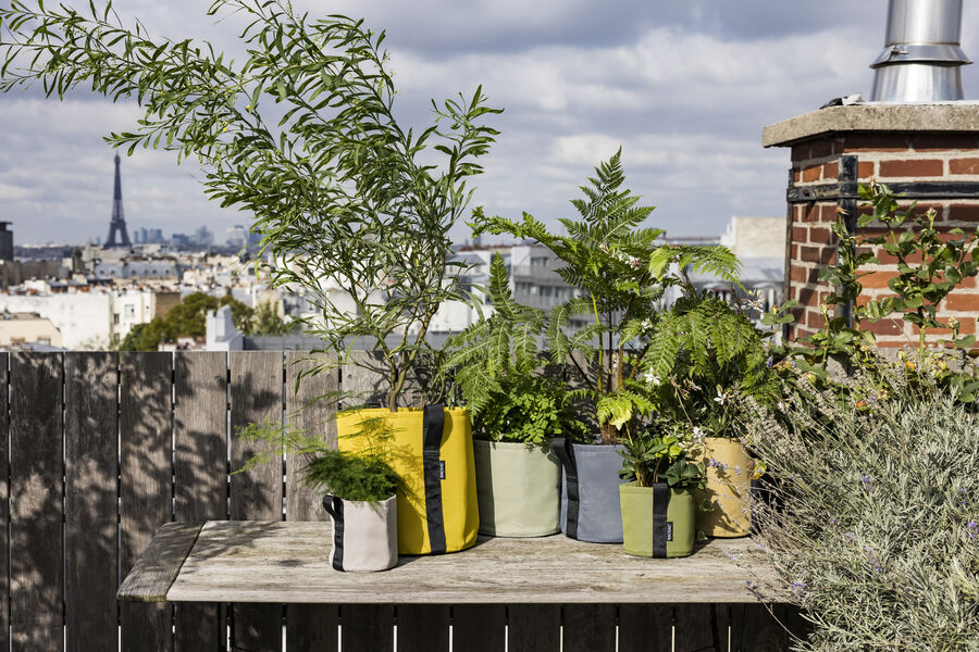 バックサック ポット YUCCA | 造園資材館