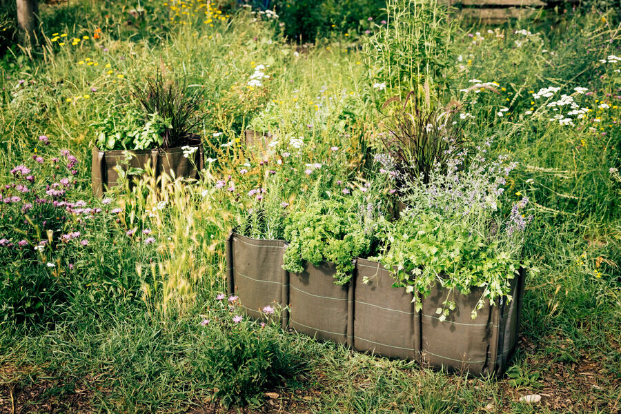 バックロング CLASSIC | 造園資材館