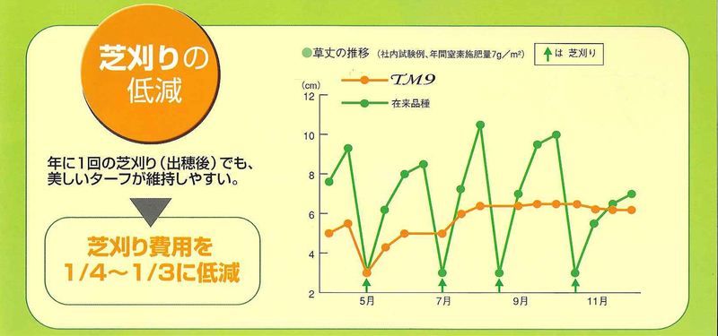 芝生 TM-9 | 造園資材館